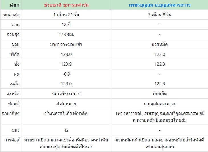 เซียนมวย ช่วยชาติ