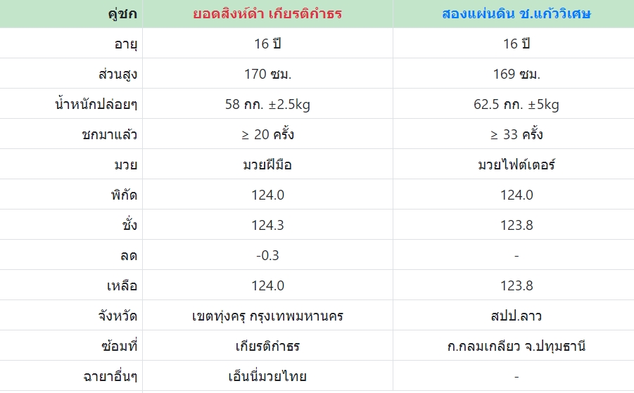 เซียนมวย ยอดสิงห์ดำ VS สองแผ่นดิน