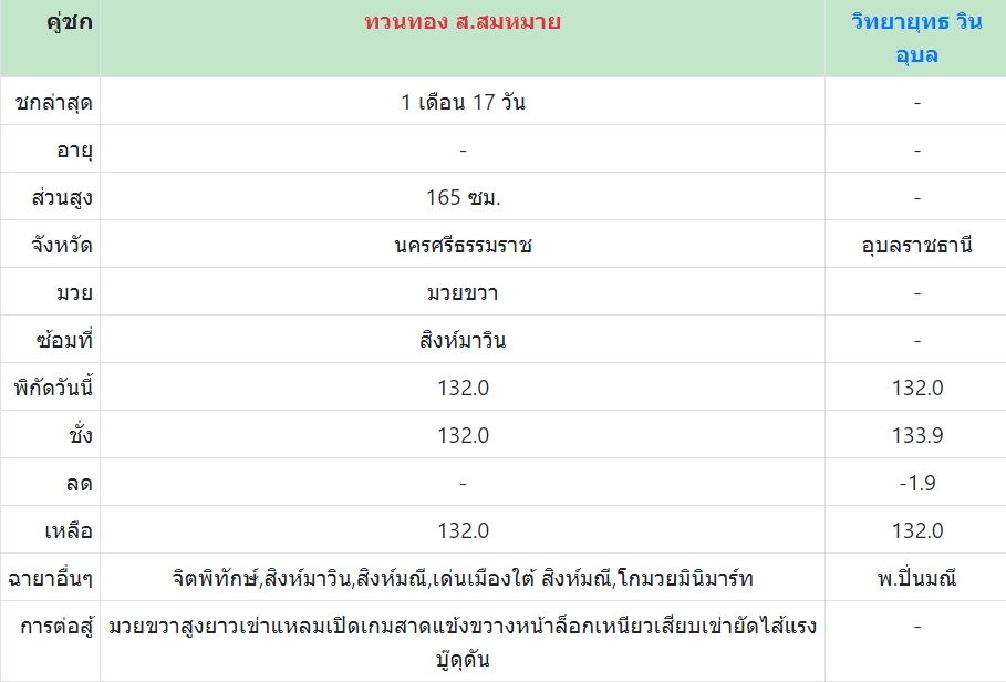 เซียนมวย วิทยายุทธ VS ทวนทอง