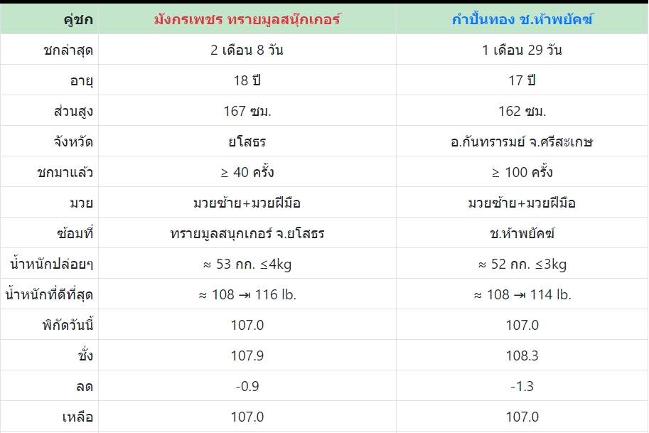 เซียนมวย มังกรเพชร