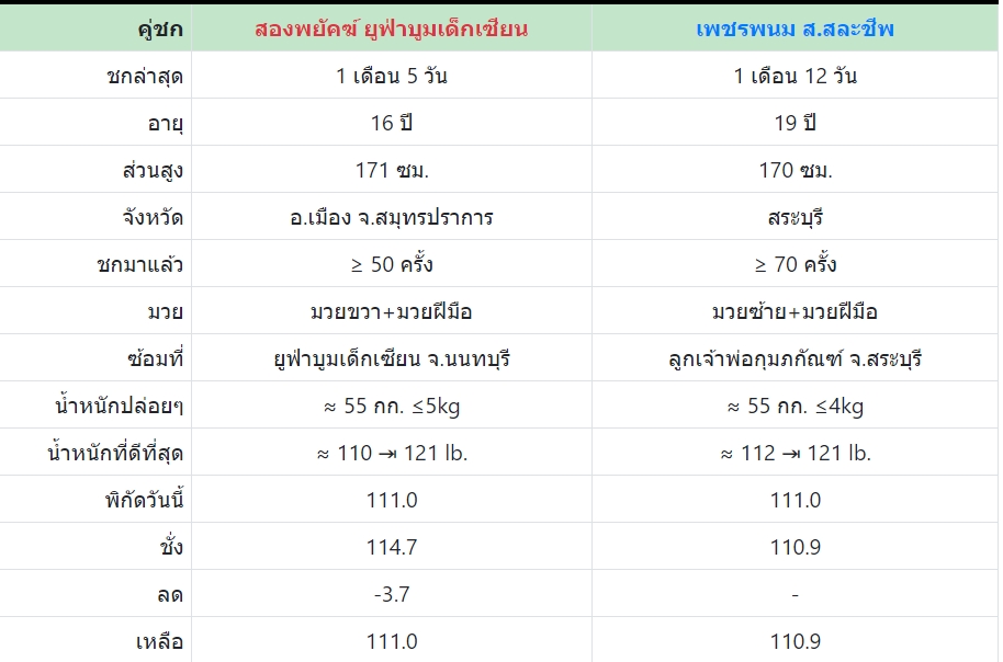 เซียนมวย สองพยัคฆ์ 