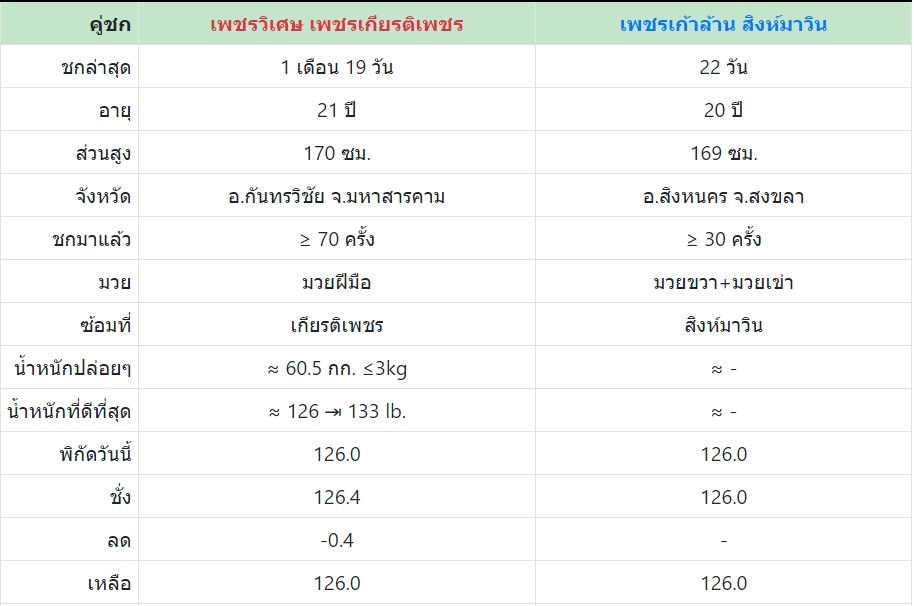 เซียนมวย เพชรวิเศษ