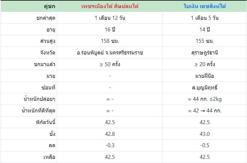 เซียนมวย เพชรเมืองใต้